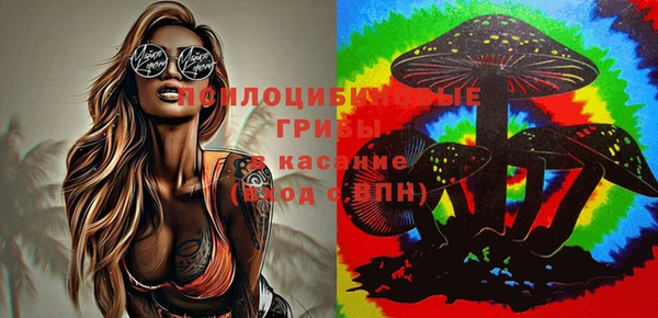 круглые Арсеньев