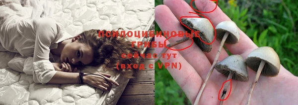 круглые Арсеньев
